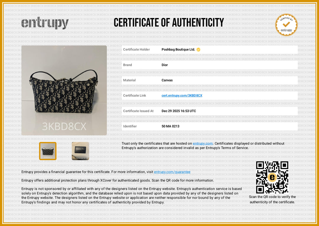 DiorTravel Nomad Medium Pouch