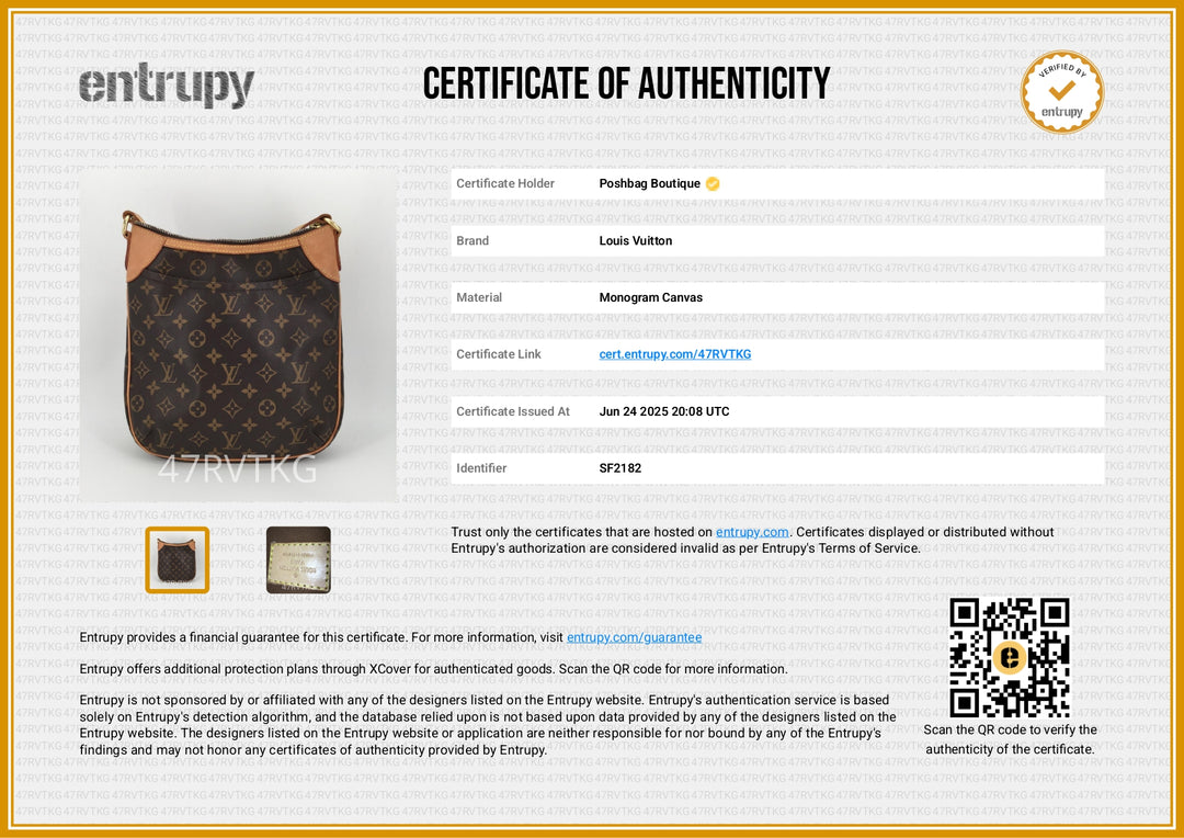 Odeon PM Monogram Canvas Bag