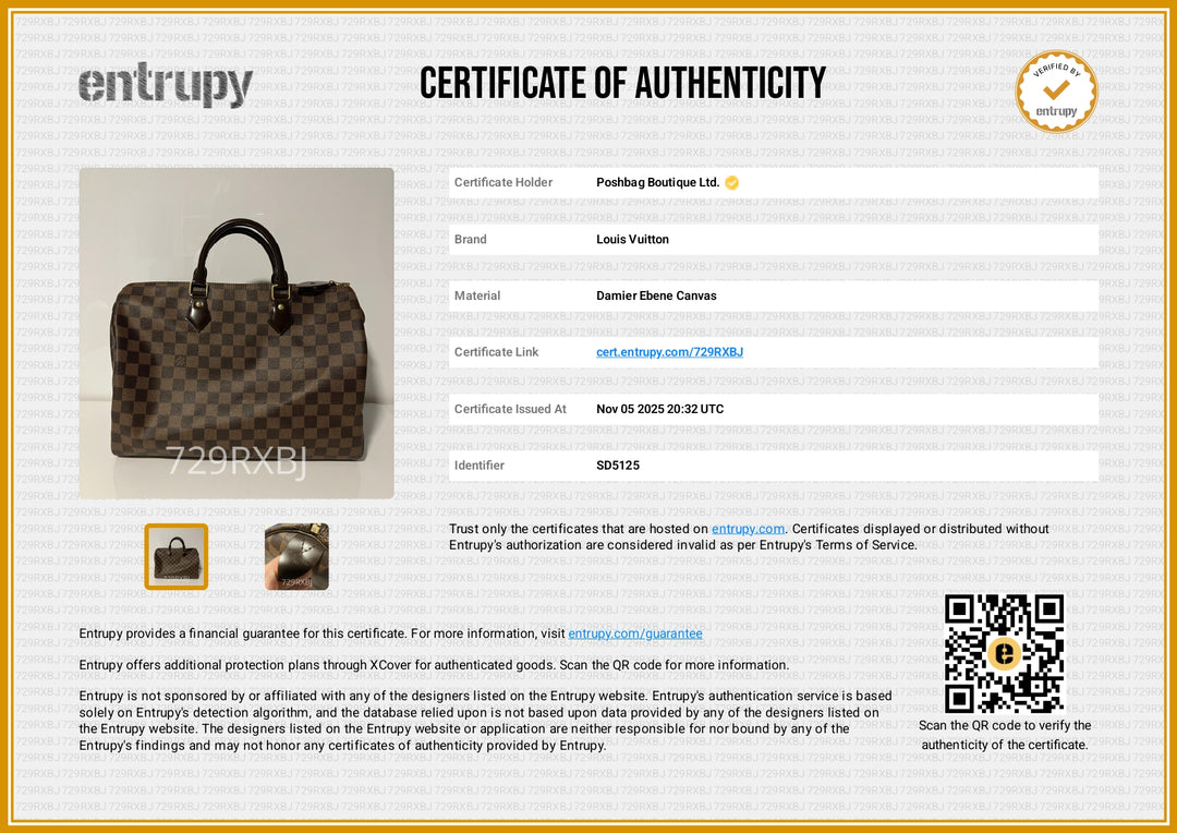 Speedy 35 Damier Ebene Canvas Bag