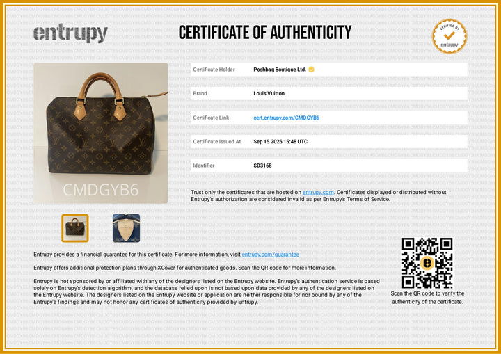 Speedy 30 Monogram Canvas Bag