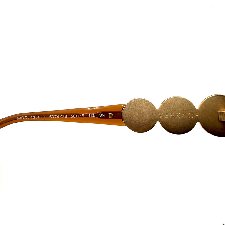 Versace Medusa Medallions Acetate Sunglasses