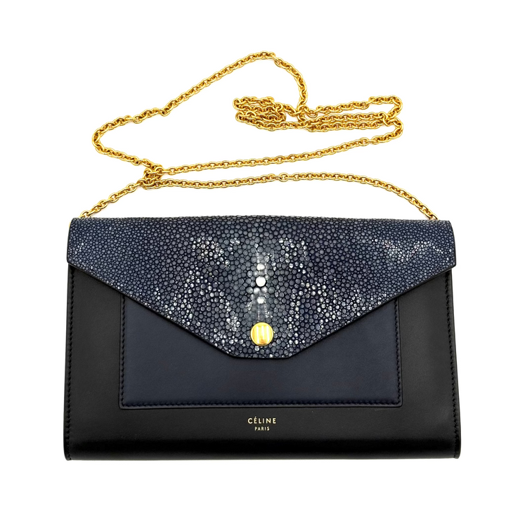 Pocket Stingray Clutch on Chain Bag