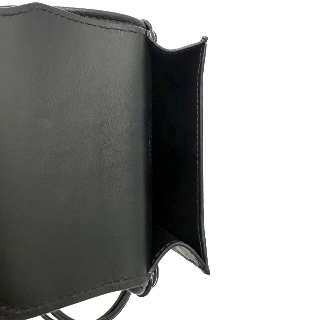 Triomphe Canvas and Calfskin Phone Pouch