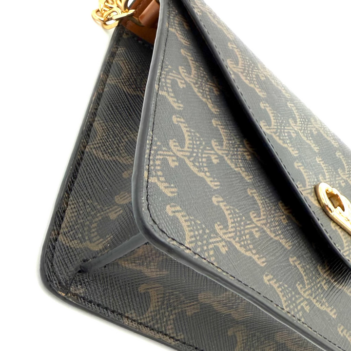 Triomphe Canvas Maillon Wallet on Chain