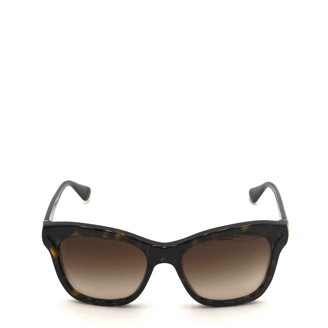 23ZS Tourtoiseshell Acetate Sunglasses
