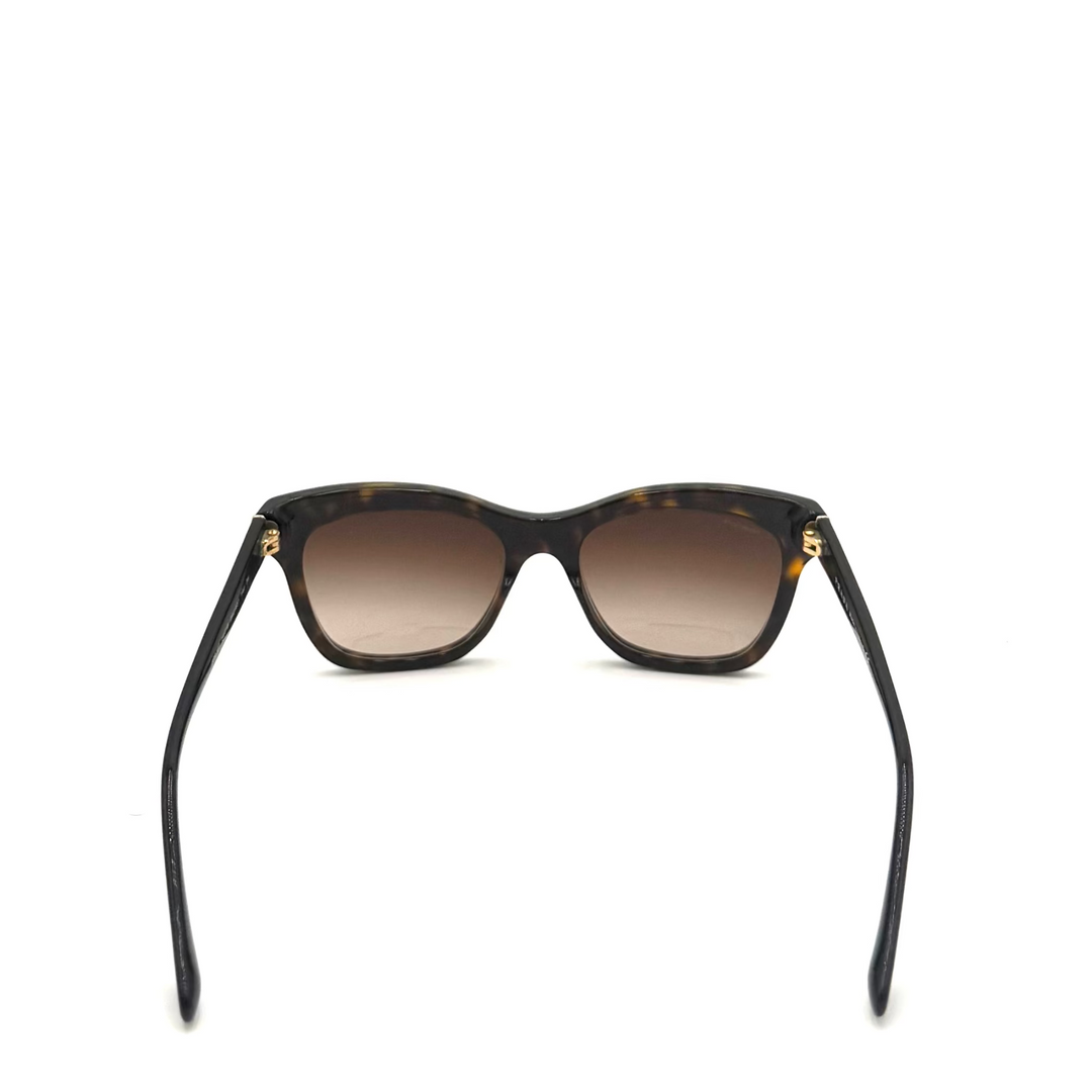 23ZS Tourtoiseshell Acetate Sunglasses