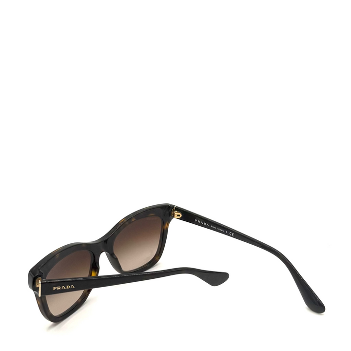 23ZS Tourtoiseshell Acetate Sunglasses