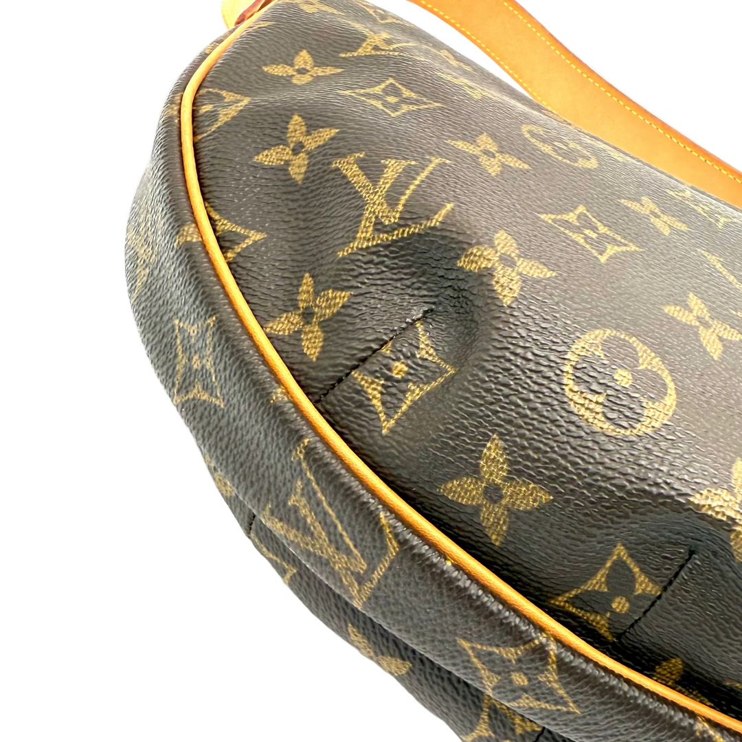 Croissant MM Monogram Canvas Bag