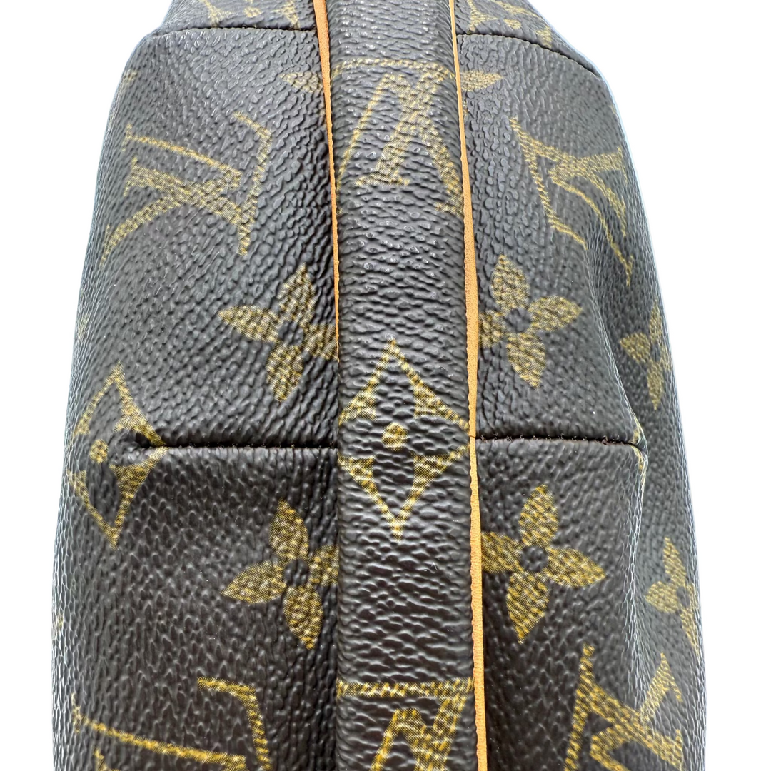 Croissant MM Monogram Canvas Bag