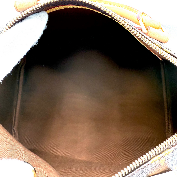 Speedy 30 Monogram Canvas Bag