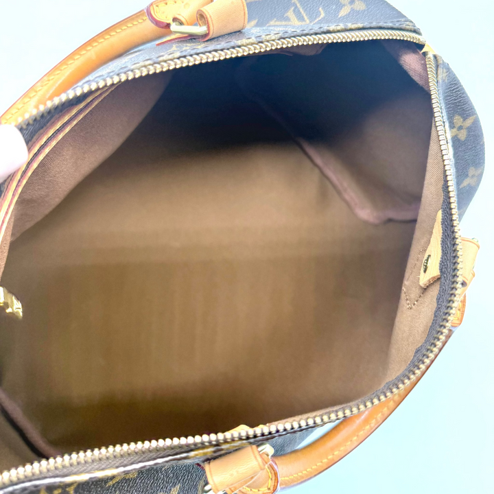 Speedy 30 Monogram Canvas Bag