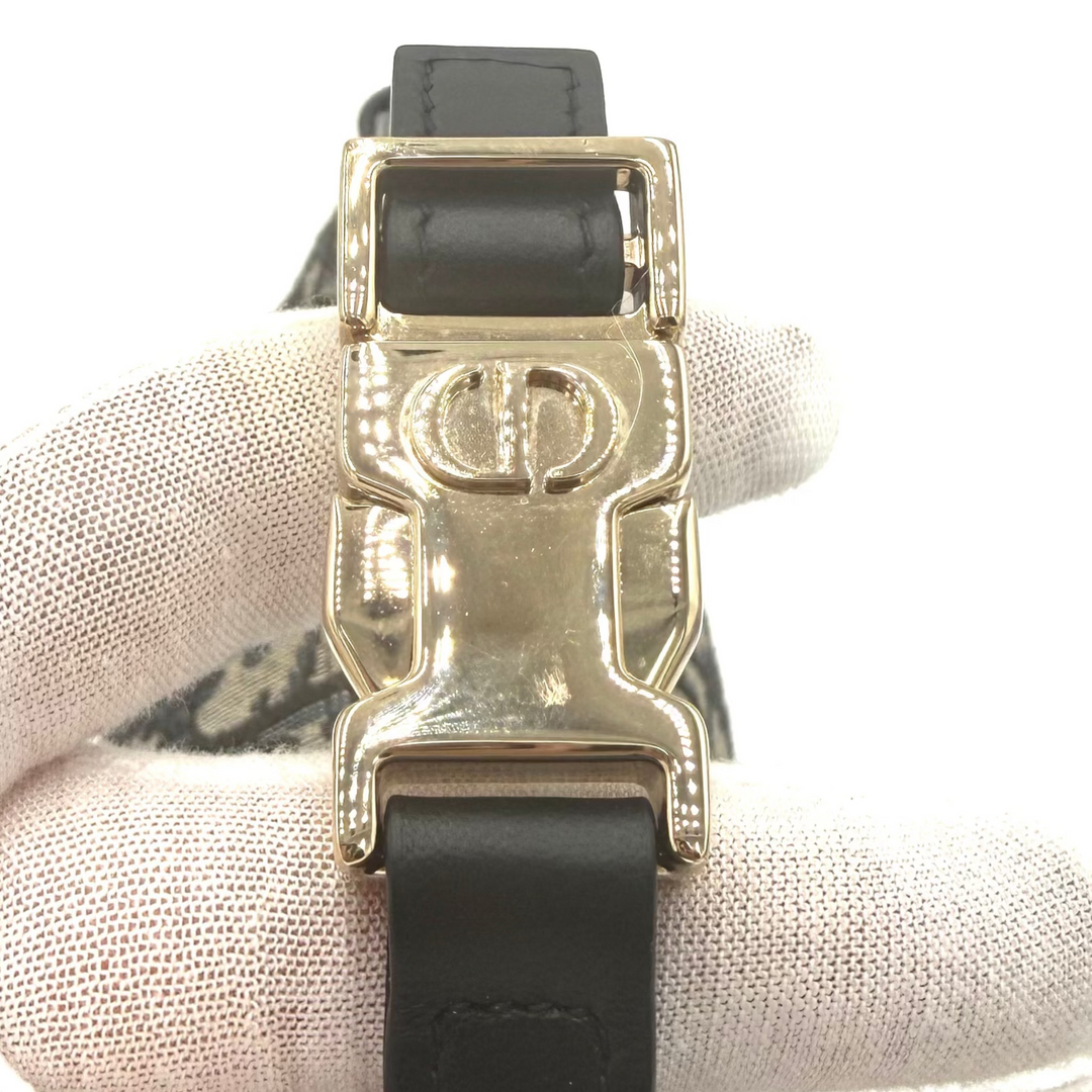 DiorTravel Nomad Medium Pouch