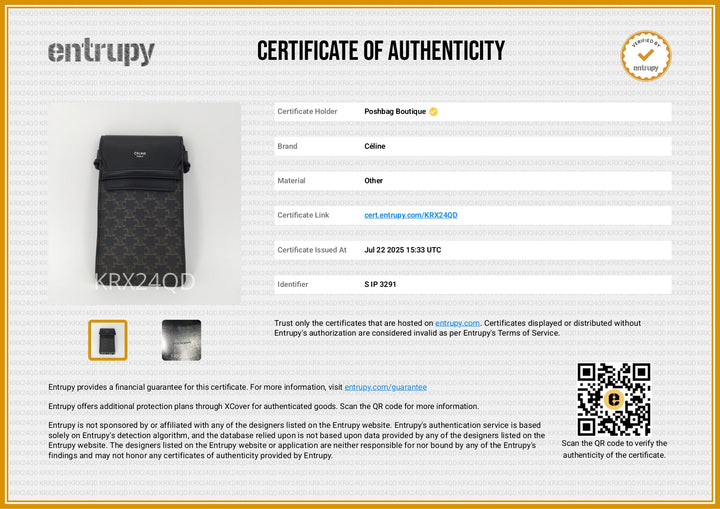 Triomphe Canvas and Calfskin Phone Pouch