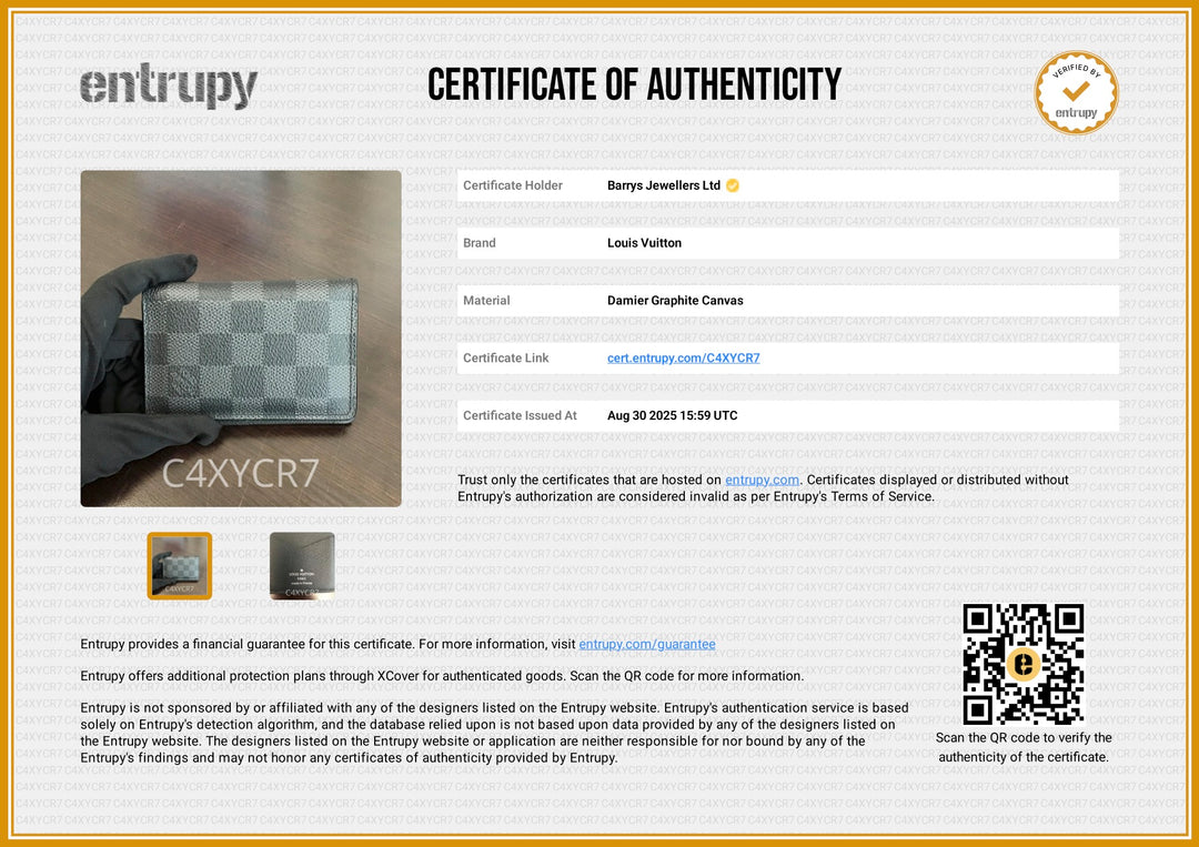 Damier Graphite Card Holder/Pocket Organizer