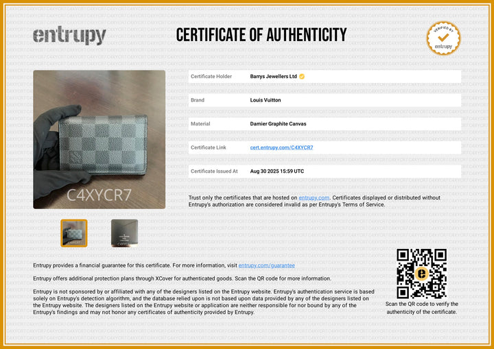 Damier Graphite Card Holder/Pocket Organizer