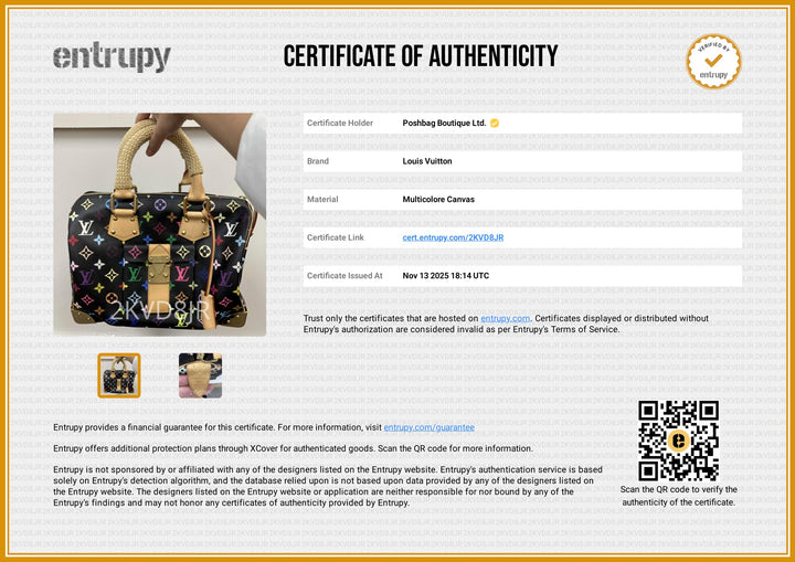 Multicolour Monogram Canvas Speedy 30 in Black