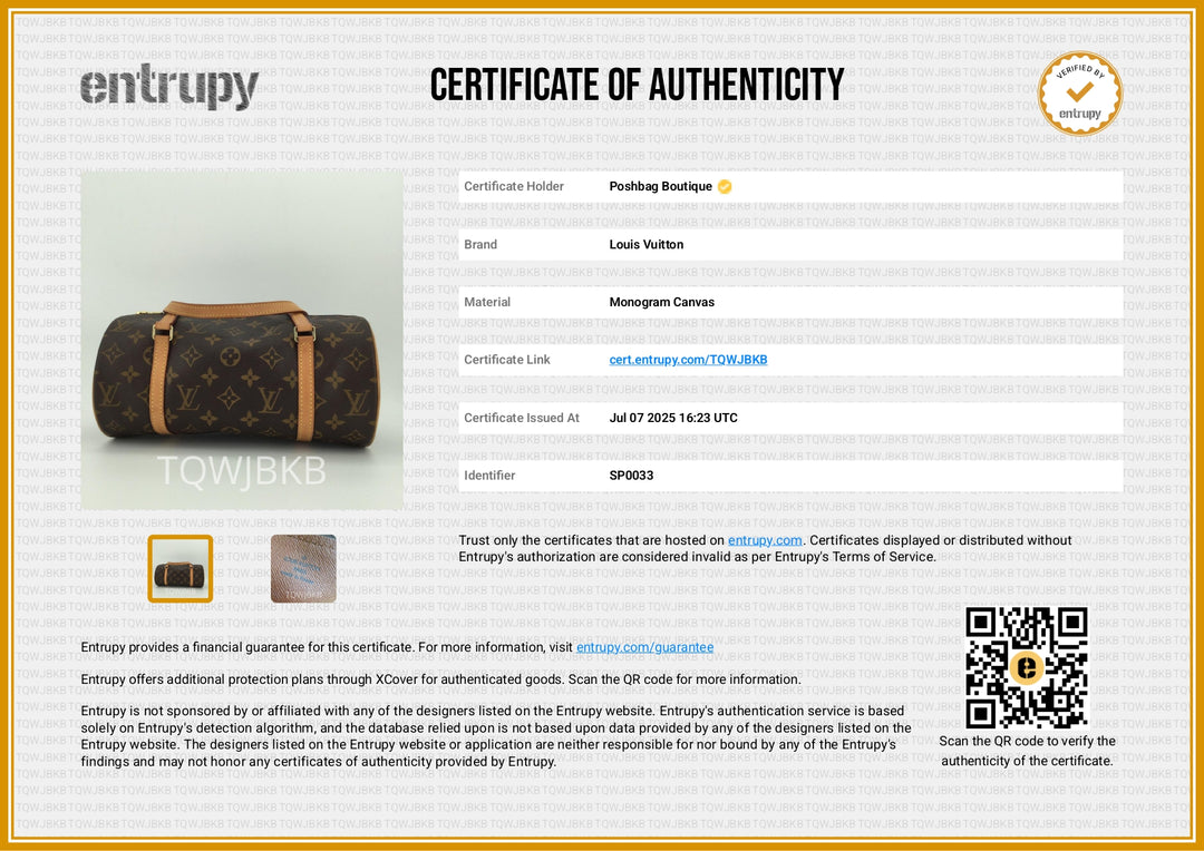 Papillon 26 Monogram Canvas Bag