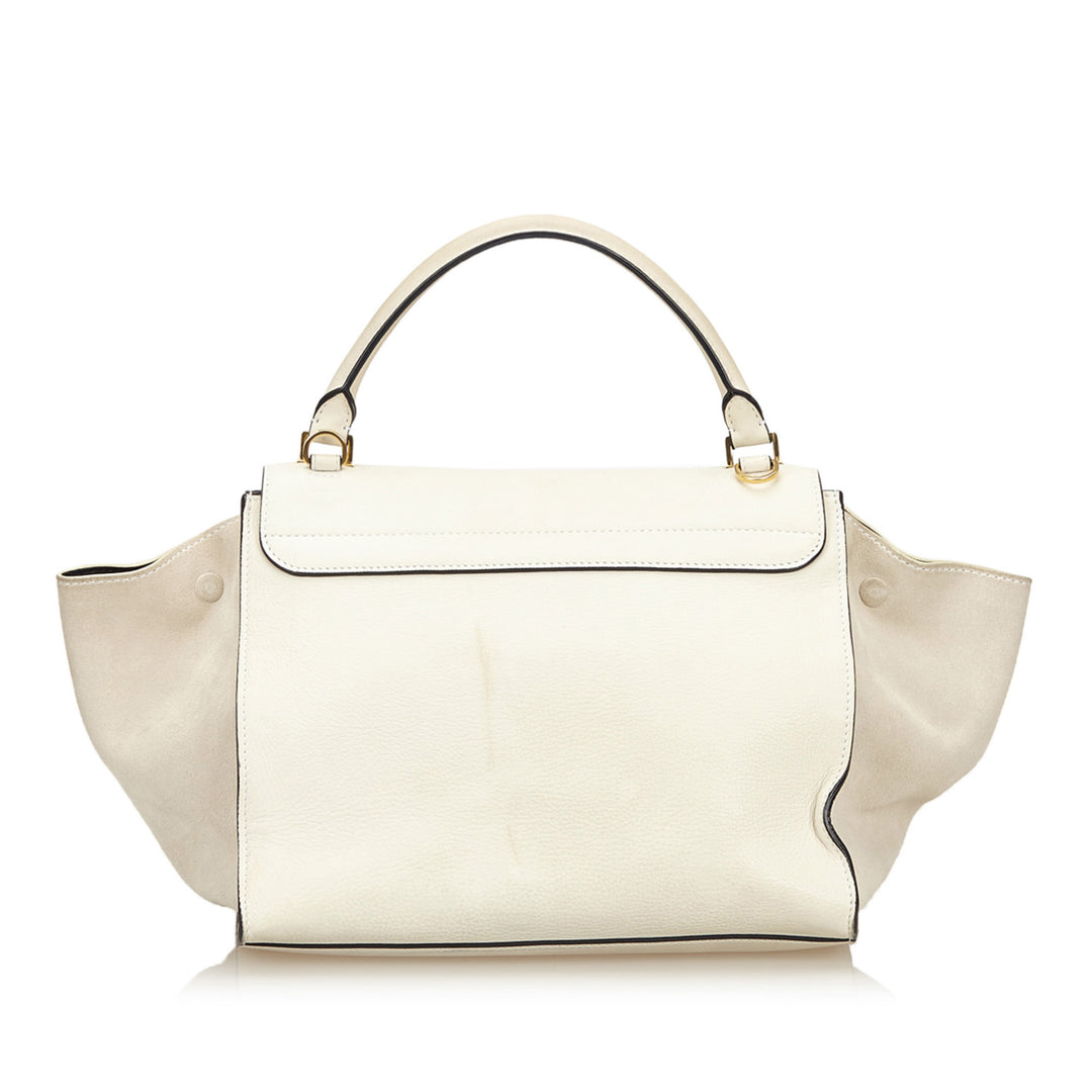 trapeze suede and calf leather bag