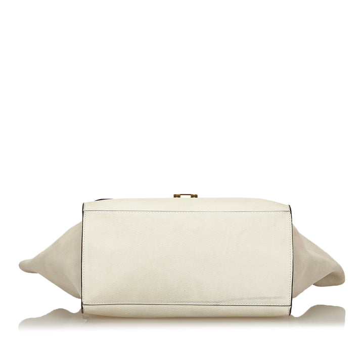 trapeze suede and calf leather bag