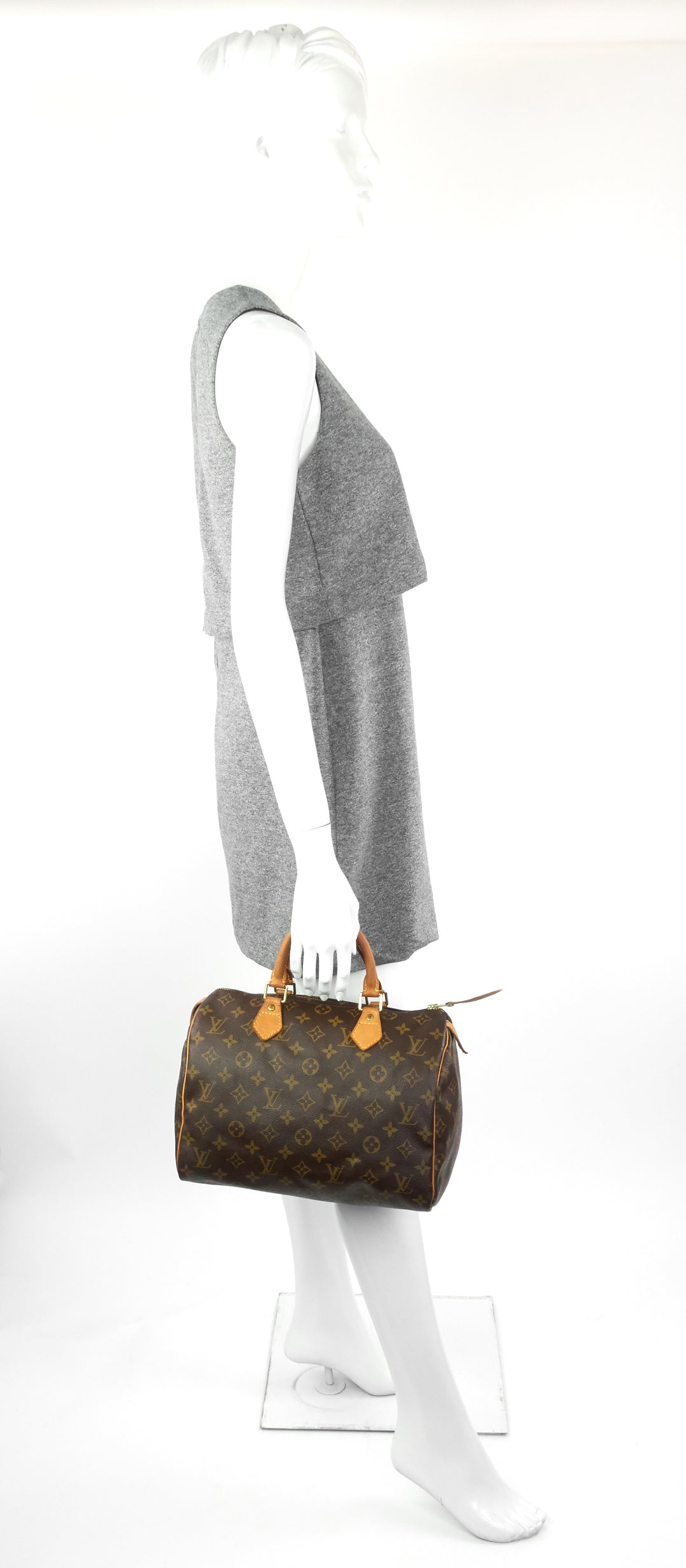 speedy 30 monogram canvas bag