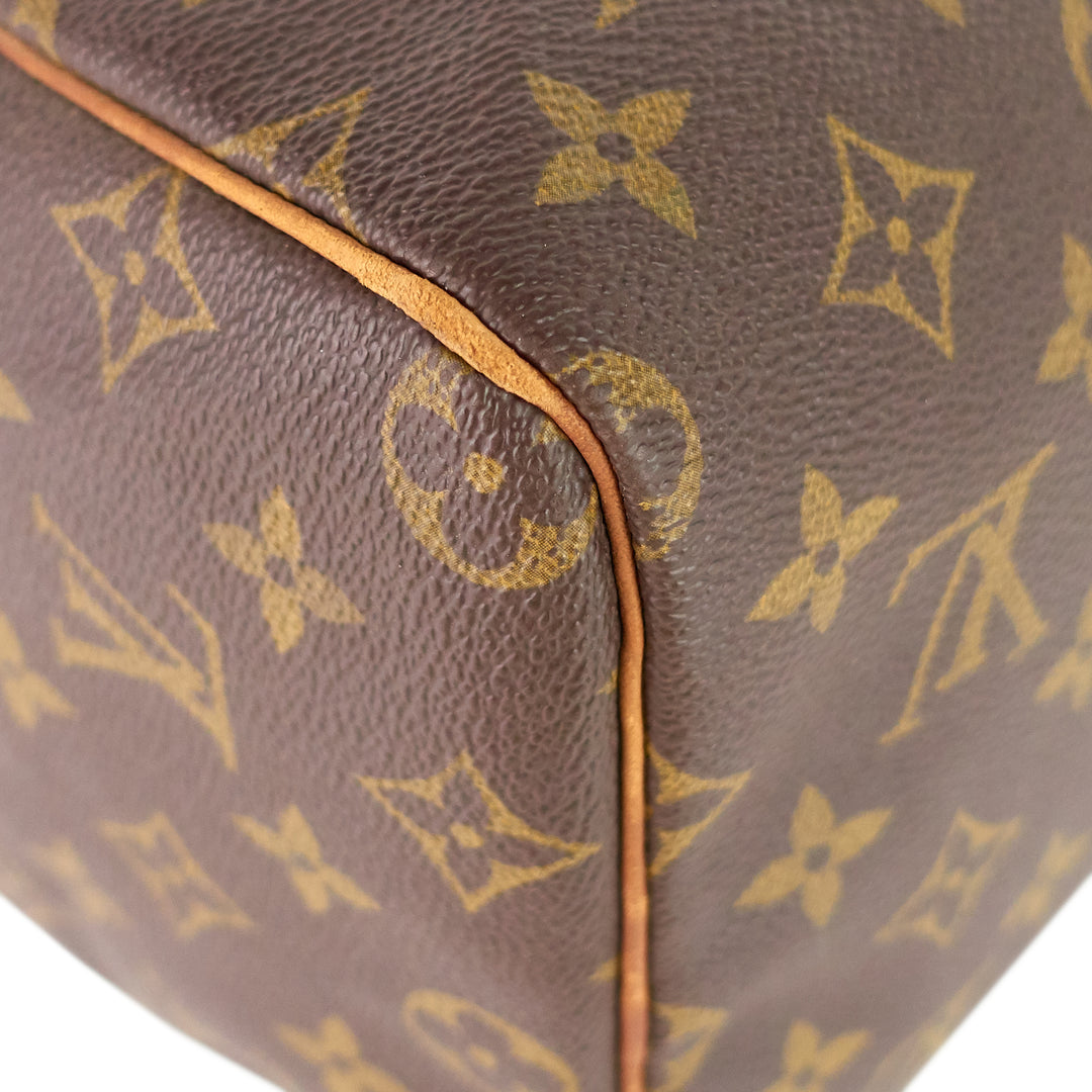 Speedy 30 Monogram Canvas Bag