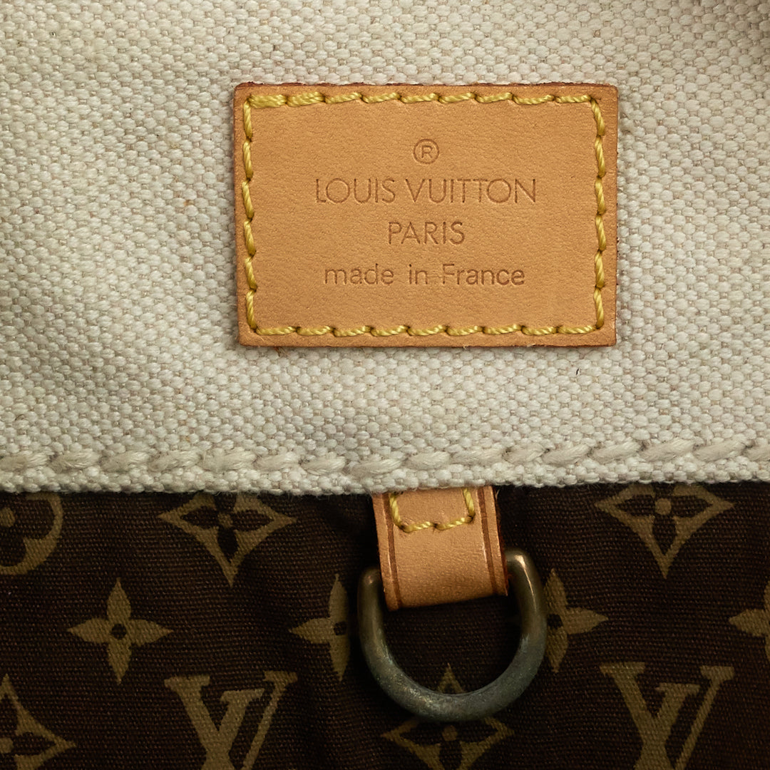 Louis Vuitton Globe Cabas PM Tote Bag - Handbagholic