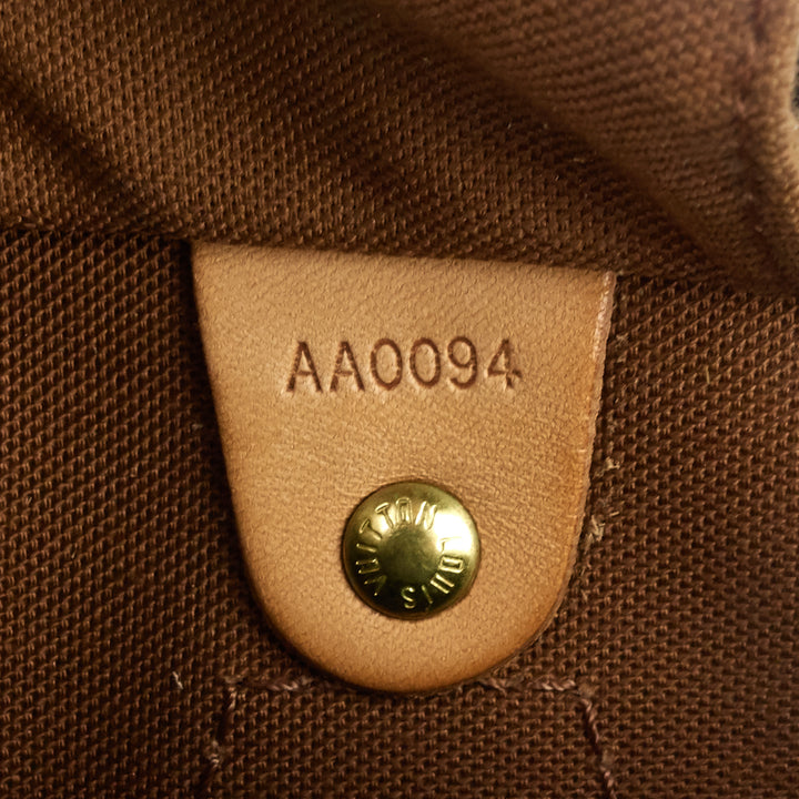 speedy 30 monogram canvas bag