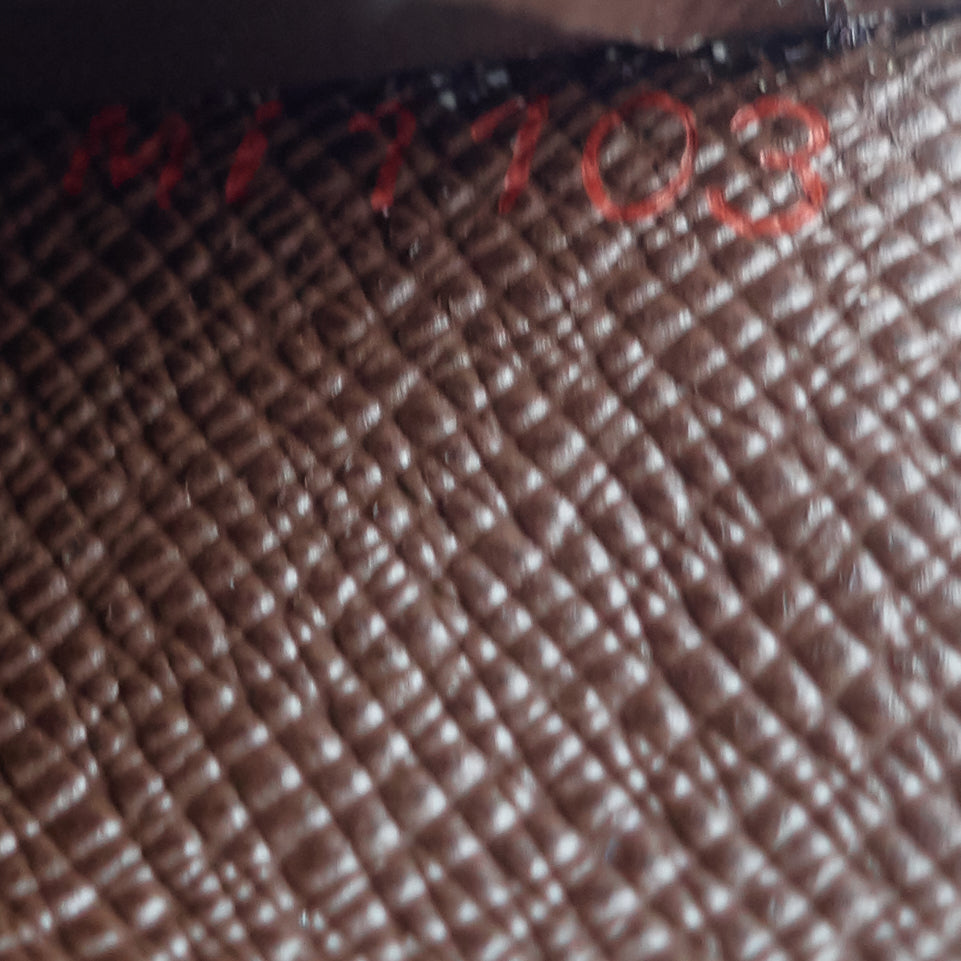 damier ebene canvas pocket organizer