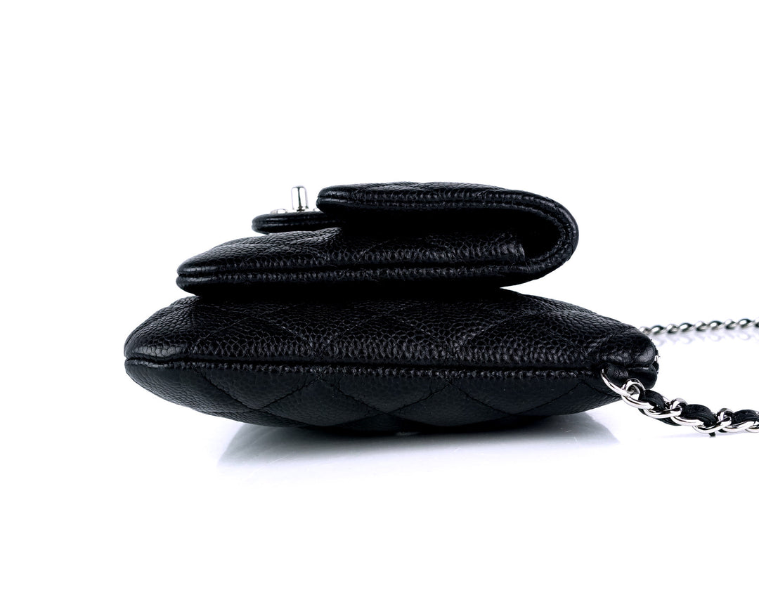 iridescent quilted caviar leather daily zip bag