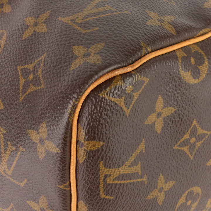 speedy 30 monogram canvas bag