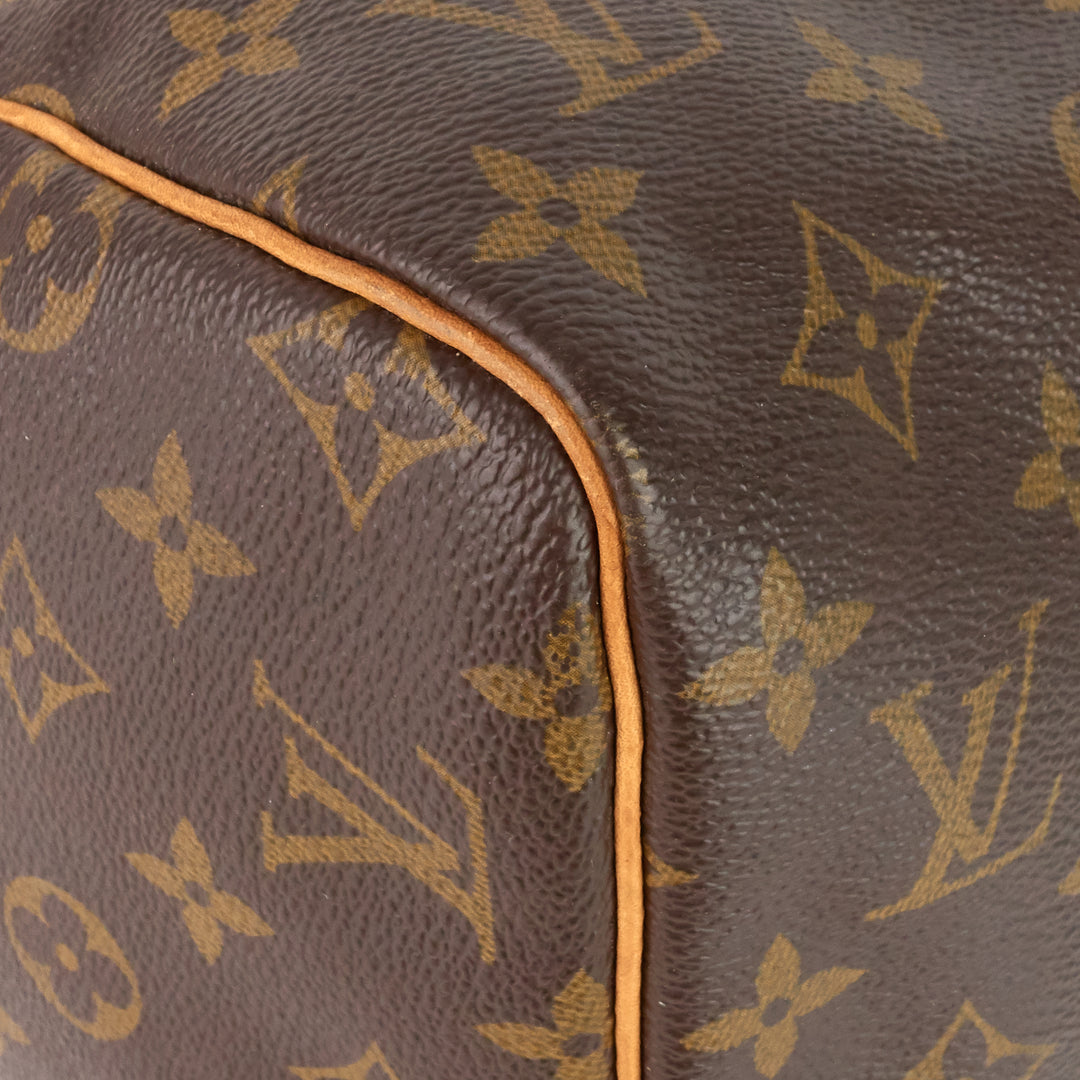 speedy 30 monogram canvas bag