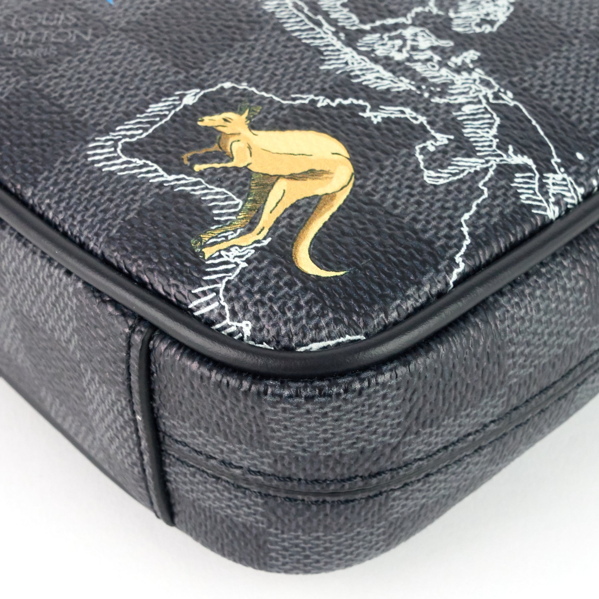 バッグ LOUIS VUITTON DANUBE PM M.SHAD.NOIR Louis Vuitton Danube Monogram Shadow PM Black in Coated