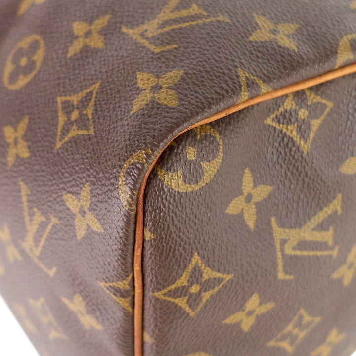 Speedy 30 Monogram Canvas Bag