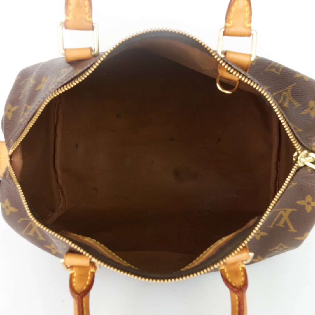 speedy 30 monogram canvas bag